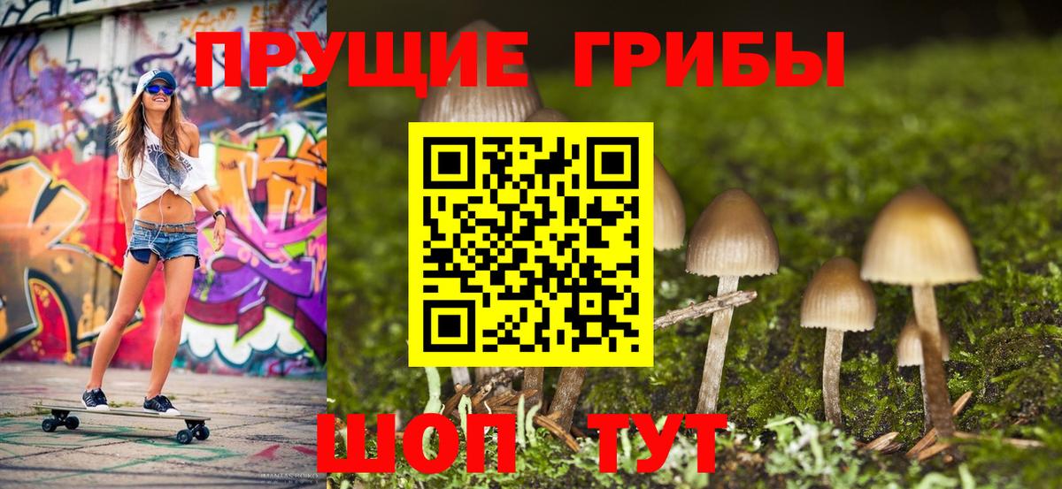 Галлюциногенные грибы прущие грибы  Псилоцибиновые грибы Psilocybine cubensis  Вход с VPN  Домодедово 
