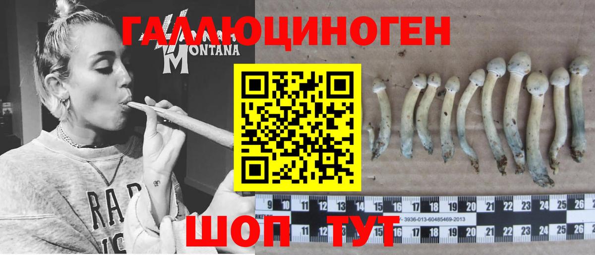 Галлюциногенные грибы прущие грибы Домодедово